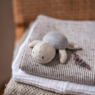 Babyrassel Schildkröte