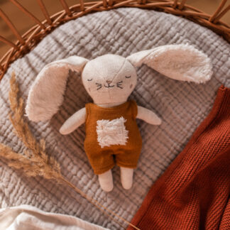 Babyrassel Hase