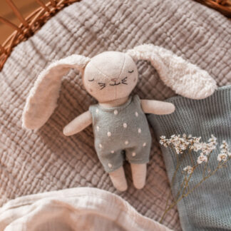 Babyrassel Hase